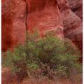 Arches National Park-2
