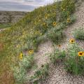 Badlands National Park, South Dakota-37
