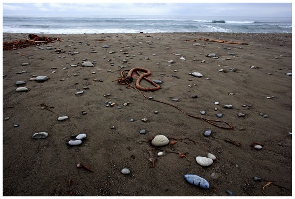 Cambria Coast-5