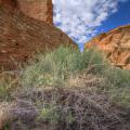 Chaco Canyon -7