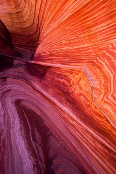 Coyote Buttes-1