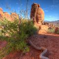Fiery Furnace, Arches National Park-14