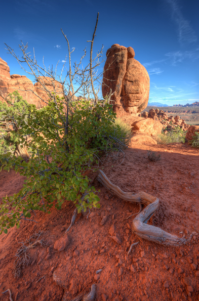 Fiery Furnace, Arches National Park-14