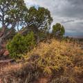 Firehole Canyon, Flaming Gorge-2