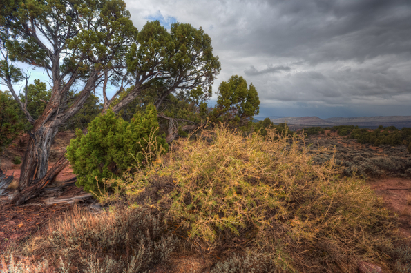 Firehole Canyon, Flaming Gorge-2