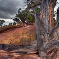 Firehole Canyon, Flaming Gorge-5