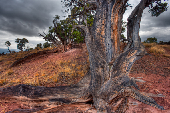 Firehole Canyon, Flaming Gorge-5