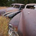Fraziers of Cooke City-2