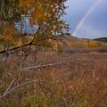 Grand Tetons-1