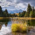 Grand Tetons National Park-22