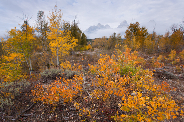 Grand Tetons in Fall-5