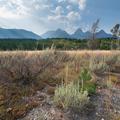 Grand Tetons National Park-15
