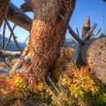 Above Cooke City-11