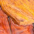 Fall Leaves in Water -10