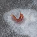 Winter's First Ice -37